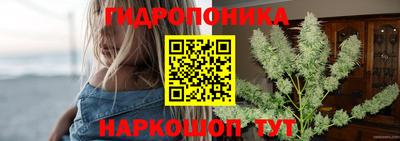 apvp Дубна