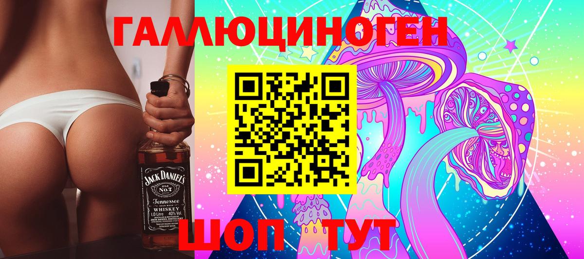 Псилоцибиновые грибы GOLDEN TEACHER Железноводск